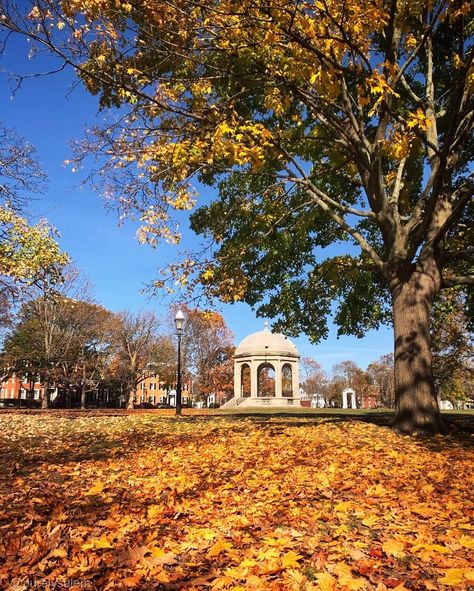 PurelySalem on Instagram: “Salem Common. . #autumn #purelysalem” Gorgeous Places, Salem Massachusetts, Halloween Aesthetic, Autumn Aesthetic, Ely, Travel Bucket List, Fall Vibes, Massachusetts, House Styles