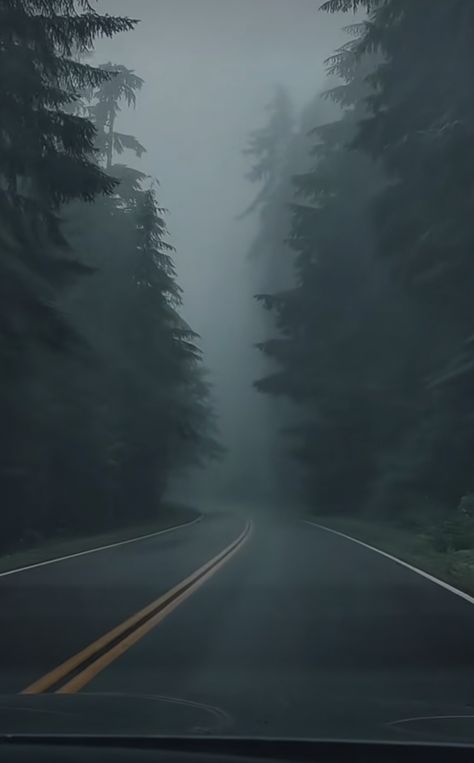 Misty Rain Aesthetic, Misty Weather Aesthetic, Overcast Weather Aesthetic, Gothic Nature Aesthetic, Cloudy Rainy Sky Aesthetic, Foggy City Aesthetic, Foggy Forest Road, Foggy Road, Misty Weather