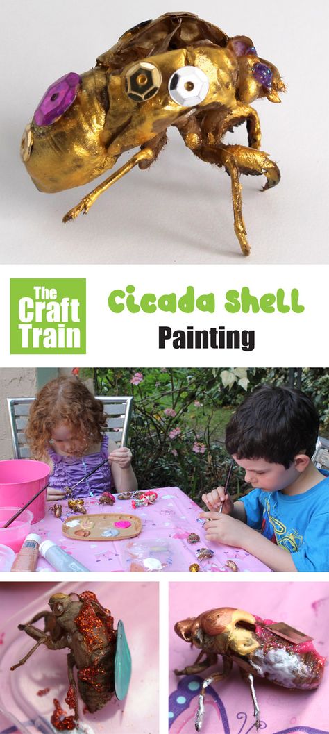 Cicada Shell, Cicada Art, Origami Paper Flowers, Bug Activities, Toddler Organization, Shell Painting, Insects Theme, Bug Crafts, Homeschool Art