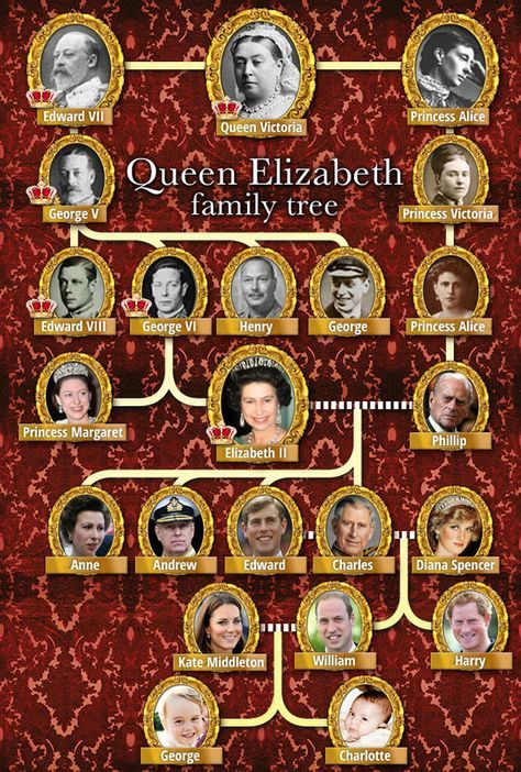 Queen Elizabeth and Prince Philip's family tree from Queen Victoria. HUGE mistake made in Philip's line...the photo of Princess Victoria is that of Princess Alice's (above) sister who became Empress of Germany. Princess Alice became Princess of Hesse and by Rhine; her daughter was Victoria of Hesse. Queen Elizabeth Family, Queen Elizabeth Family Tree, Victoria Family Tree, Queen Victoria Family Tree, Ducesa Kate, Prins Philip, Prințesa Diana, Prins Charles, Putri Diana