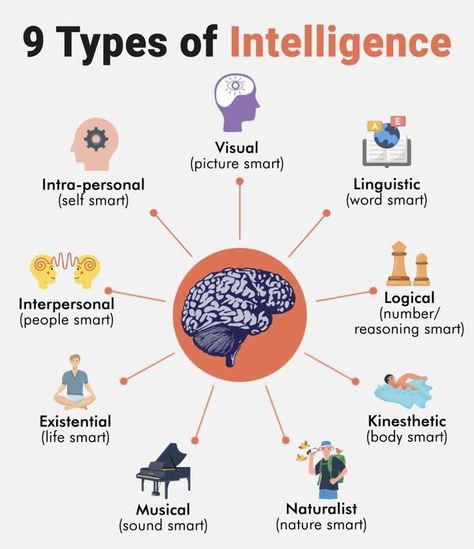 Become Intelligent, Become Smarter, Biological Science, Types Of Intelligence, Brain Facts, Mental Health Facts, How To Become Smarter, Amazing Facts For Students, Positive Quotes For Life Motivation