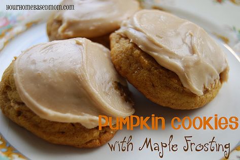 Pumpkin Cookies with Maple Frosting...I had an old recipe similar to this one that I cannot find. If this recipe is anything like my old recipe, then they are to die for! I will have to make these this holiday season to compare. Pumpkin Cookies Easy, Brown Sugar Frosting, Maple Frosting, Pumpkin Cookie Recipe, Brown Sugar Cookies, Cookies Easy, Delicious Pumpkin, Pumpkin Cookies, Frosting Recipes