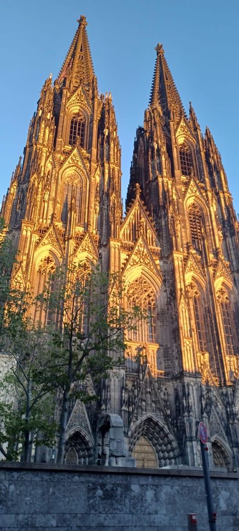 Cologne Germany Cathedral, Cathedrals In Europe, Cologne Cathedral Interior, Cologne Cathedral Wallpaper, Cologne Cathedral Aesthetic, German Cathedrals, Koln Cathedral, Germany Cathedral, Famous Cathedrals