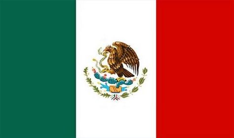 Flag Of Mexico, Touch Math, Mexico Country, Authentic Mexican Recipes, Mexican Heritage, Mexican Flags, Mexico Flag, We Are The World, Mexican Culture