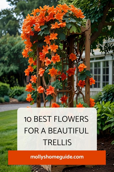 Discover a variety of beautiful flowering vines that are perfect for trellises and pergolas. Explore the best flowers for trellis, including fast-growing options to enhance your outdoor space. Get inspired with unique trellis ideas and designs to create a stunning vertical garden display. Transform your garden with climbing flowers and vines for trellis, adding color and charm to your landscape. Diy Cheap Trellis, Trellis With Flowers, Plants That Climb, Wall Trellis Ideas Climbing Flowers, Garden Vines Trellis, Trellis Flowers Ideas, Trellis Roses Climbing, Vine Flowers Climbing, Best Climbing Flowers For Trellis