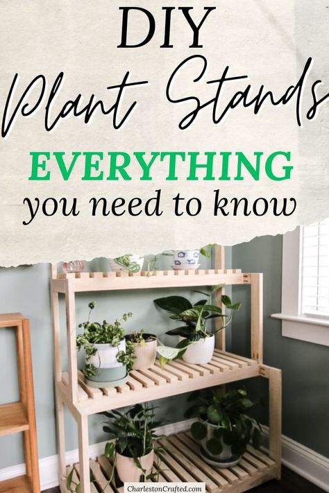 Homemade Plant Stands Diy, Homemade Plant Stands, Plant Stands Diy, Plant Stand Diy, Diy Plant Stands, Wooden Plant Stand, Indoor Plant Stand, Plant Games, Tall Plant Stands