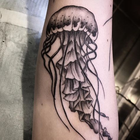 Grey Jellyfish, Traditional Tattoo Black And White, Shin Tattoo, Jellyfish Tattoo, Flash Sheet, Tattoo Black, Line Work Tattoo, Sleeve Tattoos For Women, Sea Theme