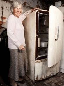 41 ways to reuse-recycle refrigerators Hidden Refrigerator, Worm Beds, Refrigerator Ideas, Vintage Fridge, Kids Sandbox, In Law House, Vintage Refrigerator, Old Refrigerator, Rv Refrigerator