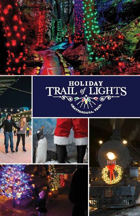 Winter Holiday lights and attraction in Chattanooga, Tennessee Christmas In Nashville, Christmas At The Zoo, Gatlinburg Christmas, Smoky Mountain Christmas, Best Christmas Light Displays, Tennessee Christmas, Christmas Things To Do, Christmas Light Show, Best Christmas Lights