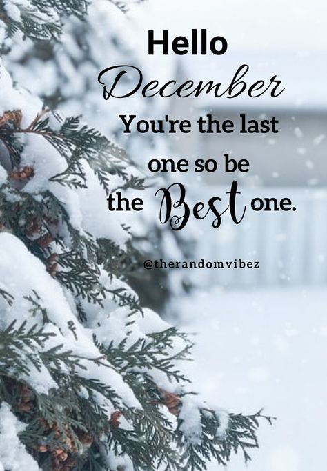 Hello December! You're the last one so be the best one. #Hellodecemberquotes #Welcomedecemberquotes #Hellowinterquotes #Happydecemberquotes #Decemberquotes #2020Decemberquotes #December2020quotes #Decembermonthquotes #Happymonthquotes #Decemberimages #Funnydecemberquotes #Decemberpicturequotes #Decemberpics #Beautifuldecemberquotes #Festivequotes #Winterquotes #Festivemonthquotes #Christmasmonthquotes #Decemberwintermonth #Decembercaptions #Instaquotes #Instastories #Decemberberimagesforfb Good Bye November Hello December Quotes, Welcome December Quotes, Hello December Pictures, Bye November, Hello December Quotes, Hello December Images, Last Month Of The Year, Good Morning Wish, New Month Wishes