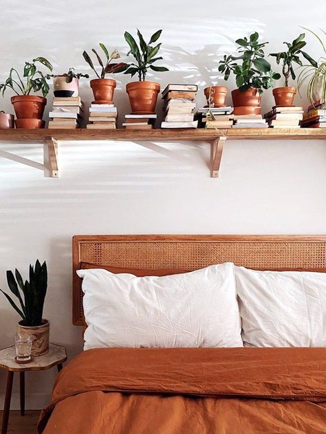 Indoor Plant Shelves, Deco Studio, Plant Shelf, Bedroom Style, Bedroom Plants, Inspiring Things, Plant Shelves, Indoor Plant, Designs Ideas