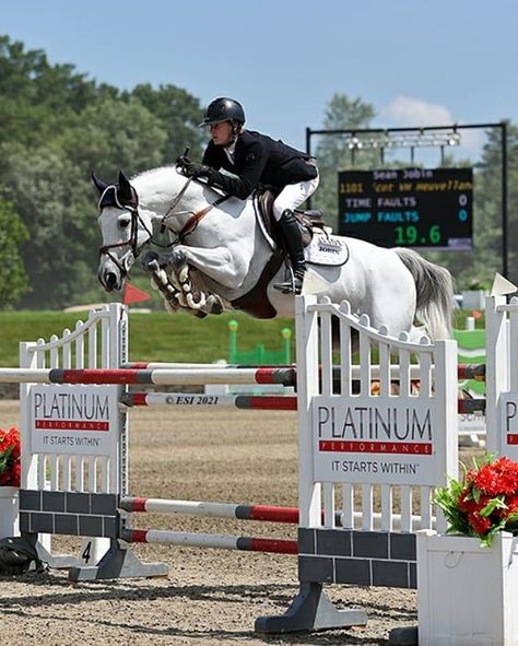 They say that success begins at home, and for show jumper and sports science expert Sean Jobin, that’s clear. Take a look at his six-week training plan to prepare for a Grand Prix event. Show Jumper Horse, Show Jumper, Dream Collage, Sports Science, Reference Pics, Dream Horse, Horse Stuff, Training Plan, Grand Prix