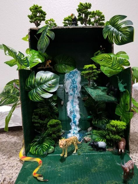 Animal Habitat School Project, Shoebox Rainforest Project, Rainforest Box Project, Temperate Rainforest Biome Project, Rainforest School Project, Tropical Rainforest Diorama Ideas, 3d Rainforest Project, Amazon River School Project, Biome In A Box Project Rainforest