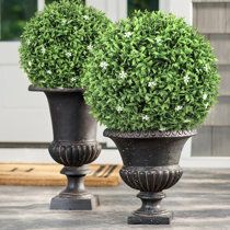 Primrue Artificial Plant Topiary - Wayfair Canada Plant Topiary, Faux Topiary, Boxwood Tree, Faux Boxwood, Topiary Plants, Artificial Topiary, Wood Pots, Topiary Garden, Faux Grass