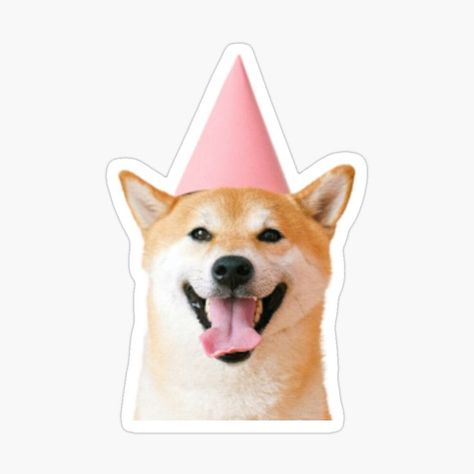 A cute smiling Shiba Inu dog wearing a pink party hat and smiling #sticker #stickers #art #streetart #stickerart #graffiti #design #slaps #stickerbomb #artist #illustration #stickerporn #urbanart #decal #graphicdesign #decals #drawing #graffitiart #nyc #vinyl #vinylstickers #stickerslap #love #slap #artwork #photography #usa #etsy #stickershop #streetarteverywhere #Hydroflask #hydroflasksticker Happy Birthday Dog, Birthday Dog, Shiba Inu Dog, Sticker Bomb, Hydroflask Stickers, Birthday Stickers, Pink Party, Dog Wear, Pink Parties