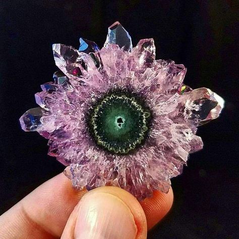 Absolutely perfect #Amethyst Stalactite Slice.   Photo: Nowar Minerals Uruguayan Amethyst Crystal Seashells, Minerals Museum, Amethyst Stalactite, Rock Minerals, Pretty Rocks, Mineral Stone, Minerals And Gemstones, Rocks And Gems, High Resolution Images