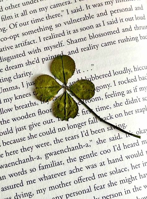 Good Luck Aesthetic, Luck Aesthetic, Hellenic Polytheism, Lucky Leaf, Aesthetic Pics, Future Life, Leaf Clover, Clover Leaf, Lamborghini