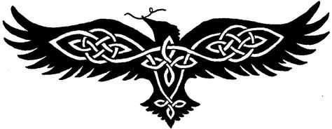 Celtic Raven Tattoo, Rabe Tattoo, Celtic Raven, Celtic Animals, Celtic Tattoo, Illustration Tattoo, Crow Tattoo, Theme Tattoo, Norse Tattoo