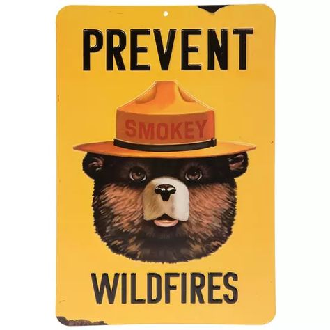 Smokey The Bear Nursery, Set Your Heart Ablaze, Smokey The Bear, Smokey Bear, Big Boy Bedrooms, Smokey The Bears, Texas Ranch, Wild Fire, Bear Nursery