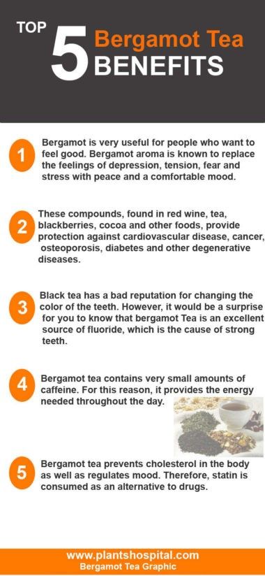 Bergamot Tea Benefits, Benefits Of Earl Grey Tea, Earl Grey Benefits, Earl Grey Tea Benefits, Bergamot Benefits, Tea Facts, Tea Blends Recipes, Bergamot Tea, Teas Recipes