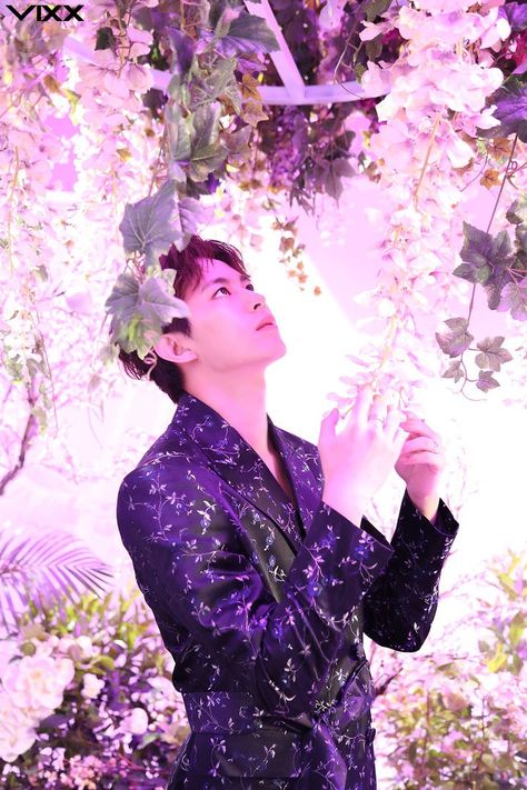 VIXX Hongbin Shangri-La art Vixx Shangri La, Lee Hong Bin, Vixx Hongbin, Vixx Members, Pixel Photography, Moorim School, Ravi Vixx, Brown Image, Crazy Color