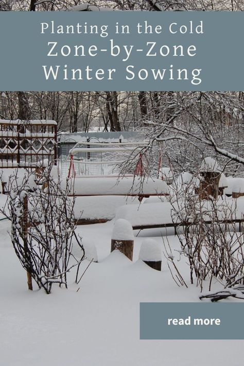 Planting in the Cold: A Zone-by-Zone Winter Sowing Exploration Milk Jugs Garden, Lake Landscaping, Winter Sowing, Winter Vegetables Gardening, Build A Greenhouse, Gardening Zones, Plant Zones, Gardening Diy, Winter Vegetables