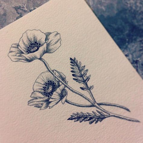 See this Instagram photo by @beaubealart • 122 likes Poppy Tattoo Black And White, Poppy Tattoo Black, Black Poppy Tattoo, California Poppy Tattoo, Poppy Flower Drawing, Tat Inspiration, Poppy Flower Tattoo, Tattoo Black And White, Poppy Tattoo