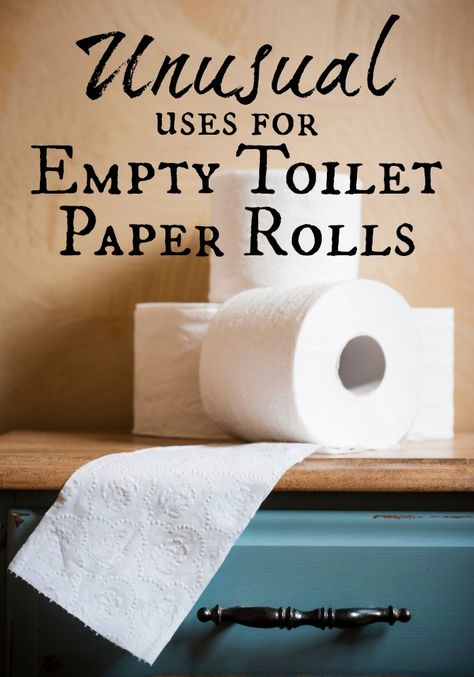 This list has some of my favorite unusual uses for empty toilet paper rolls like seed starters, wreaths, cord storage and more! Don't you love upcycling items you already have! Toilet Paper Roll Crafts For Adults Diy, Organize Kids, Seed Starters, Empty Paper, Toilet Paper Roll Art, Toilet Roll Craft, Rolled Paper Art, Toilet Paper Crafts, Pillow Boxes