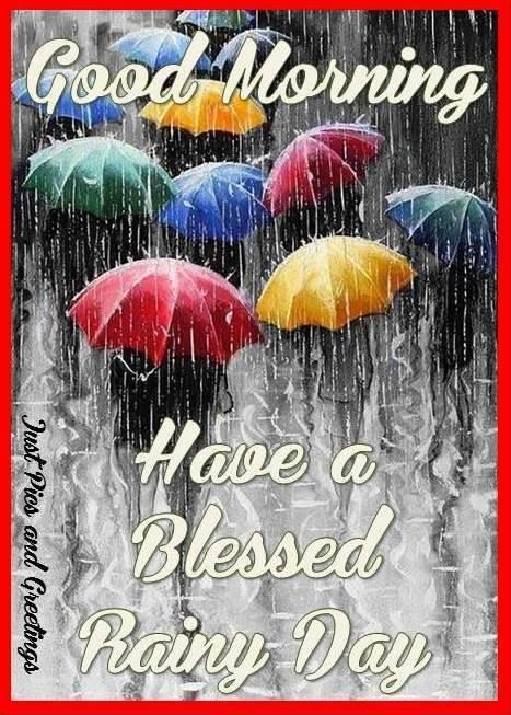 Rainy Morning Quotes, Rainy Day Images, Good Morning Rain, Rainy Good Morning, Good Morning Rainy Day, Rainy Day Quotes, Say Good Morning, Quotes Good Morning, Rainy Morning