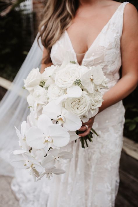 Bride Bouquets White, Orchid Bouquet Wedding, Modern Bridal Bouquets, Modern Wedding Bouquets, Cascading Bouquet, Cascading Bridal Bouquets, Cascading Wedding Bouquets, Bouquet Rose, White Wedding Theme