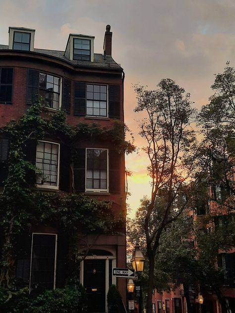 boston, city, cityhome, aesthetic, street, plants, ivy, windows, sunset, home, architecture, streetlights Boston Apartment Aesthetic, Bed City, Boston Aesthetic, Boston House, Boston Apartment, Brown City, Downtown Boston, Living In Boston, Town Building