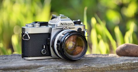 Cheap Film Cameras, Cameras For Beginners, Sunny 16 Rule, Nikon F100, Pentax K1000, Cheap Cameras, Analog Photography, Light Meter, Old Cameras