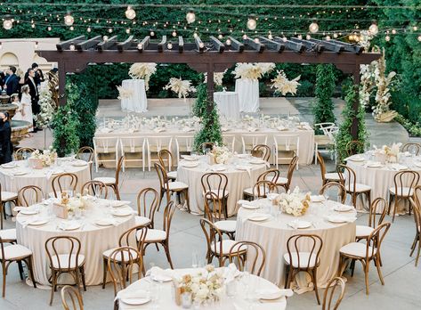 Bentwood Chairs Wedding, Wedding Reception Chairs, Chairs Wedding, Franciscan Gardens, Molded Chair, Crossback Chairs, California Photos, Reception Chair, Chiavari Chairs