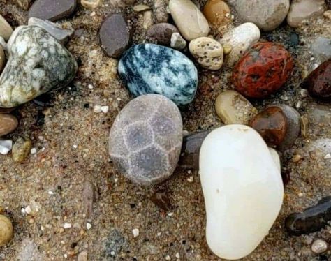 Leland Blue Stone, Hunting Guide, Lake Michigan Beaches, Michigan Beaches, Rock Hunting, Petoskey Stone, Michigan Travel, Nature Preserve, Hexagon Pattern