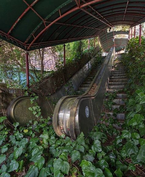 u/Dead_Sect: <br> The…silence…. Apocalypse Landscape, Deserted Places, Dystopian Aesthetic, Apocalypse Aesthetic, Abandoned Buildings, Nature Aesthetic, End Of The World, Pretty Places, Green Aesthetic