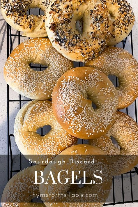 New York Style Sourdough Starter Discard Bagels Discard Bagels, New York Style Bagels, New York Bagels, Starter Sourdough, Sourdough Starter Discard, Onion Bagel, Sesame Bagel, Recipe Using Sourdough Starter, Sourdough Bagels