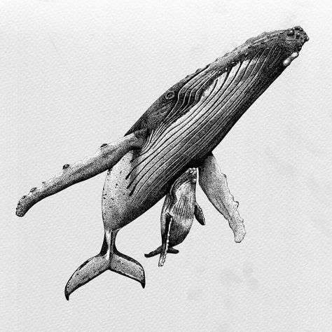 Humpback Whales. Ink Drawings Fineliner Animals. Click the image, for more art from Last Maps. Ocean Sleeve Tattoos, Underwater Drawing, Whale Drawing, Whale Tattoos, Ocean Tattoos, Instagram Illustration, Tatuaje A Color, Whale Art, Ink Drawings