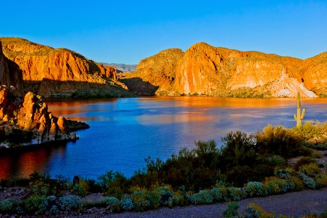 There are so many wonderful spots in Arizona to enjoy, but the small Canyon Lake in Arizona is one beautiful place to adventure. With Canyon Lake Arizona, Desert Drive, Sedona Arizona Travel, Arizona Lakes, Texas Lakes, Day At The Lake, Arizona Adventure, Only In Your State, Canyon Lake