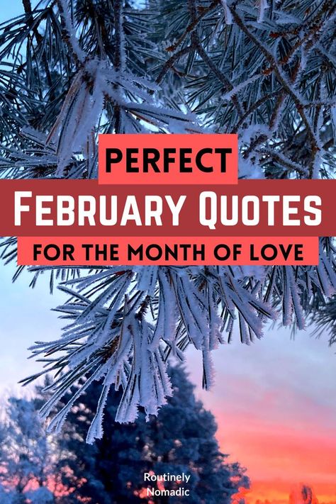 February Quotes Love, New Month Aesthetic, Month Of Love February, Short Valentine Quotes, Month Aesthetic, Hello February Quotes, Welcome February, February Quotes, February Month