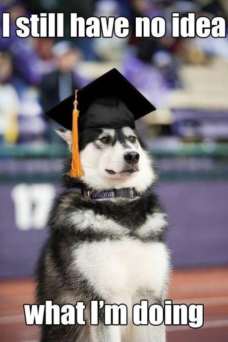 and this is me! ...i still have no idea what i'm doing Uw Graduation, Husky Humor, Finally Graduated, Uw Huskies, College Graduate, Dream College, Washington Huskies, Funny Dog Memes, E Card