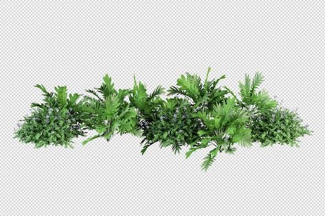 Plants Elevation, Wall Plant Pot, Photoshop Landscape, Kinds Of Flowers, Texas Plants, Photoshop Graphics, Ivy Plants, Plant Box, Tree Png