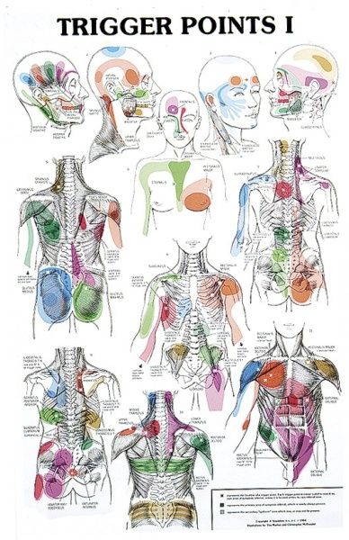 ❧ Trigger points chart Punkty Spustowe, Reflexology Chart, Trigger Point Therapy, Reflexology Massage, Body Map, Trigger Point, Trigger Points, Massage Techniques, Alternative Health