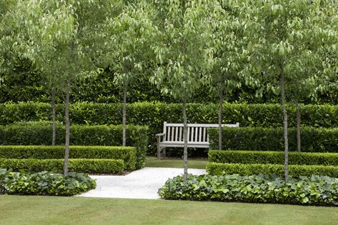 Classic French ...( Peter Fudge)...Fab!...LOVE love...love ...love ..love love!!  are hornbeams even conducive in nc climate,...hope so... Peter Fudge, French Formal Garden, Formal Garden Design, Formal Garden, Classic Garden, Formal Gardens, French Garden, Garden Landscape Design, White Gardens