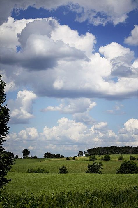 clouds/blue sky Clouds Over Field, Clouds In Blue Sky, Sky Reference, Blue Sky Landscape, Big Clouds, Puffy Clouds, Clouds Landscape, Cumulus Clouds, Clouds In The Sky