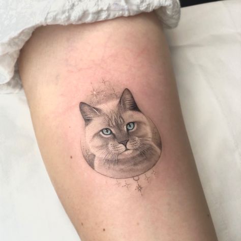 Single needle micro realistic cat portrait done by @sana.ink Ragdoll Cat Tattoo, Ragdoll Tattoo, Small Cat Tattoo, Cat Tattoo Small, Realistic Watercolor, Cat Tattoo Designs, Gaming Tattoo, Cat Portrait, White Tattoo