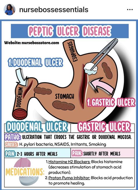 Gi Tract Disorders, Peptic Ulcers Nursing, Gi System Nursing, Gerd Nursing, Gi Nursing, Gastrointestinal Nursing, Pathophysiology Nursing, Nursing School Studying Cheat Sheets, Anatomy Education