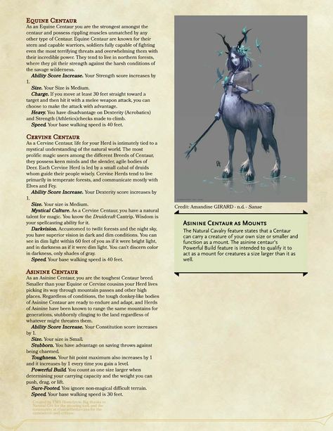 Wolf Race Dnd, Dnd Playable Races, Dnd Centaur, Arcane Archer, Homebrew Races, Dnd Animals, 5e Races, Dungeons And Dragons Rules, Dungeons And Dragons Races