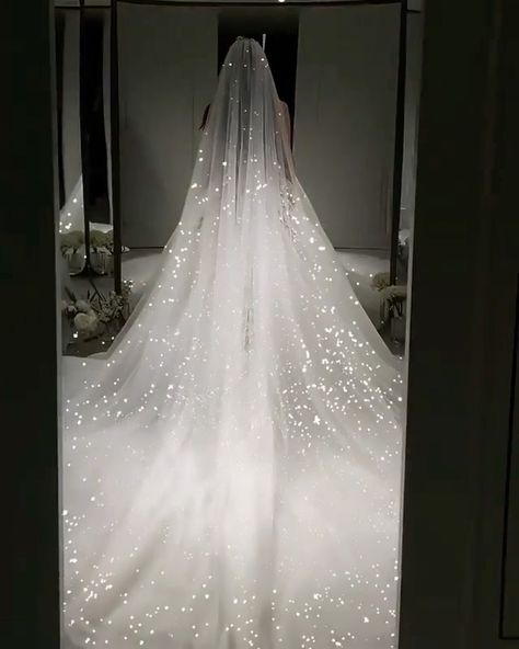 Billionaire Wedding Dresses, Brides Vail Long, Wedding Dress With Lights, Wedding Dresses With Lights, Layered Sparkly Wedding Dress, Stark White Wedding Dress, Sparkly Wedding Vails, Flowy Sparkly Wedding Dress, Raindrop Wedding Dress