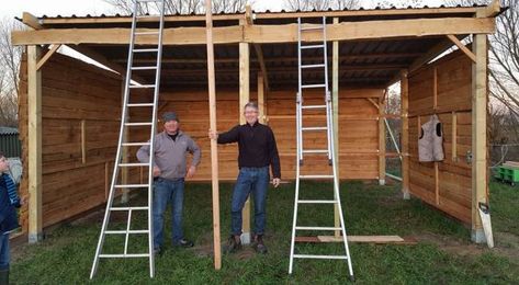 Project: 3 Side Horse Shelter w/ PICS in General Board Pasture Shelter, Bison Ranch, Horse Shelters, Hay Meadow, Small Horse Barns, Horse Shed, Horse Fence, Livestock Shelter, Goat Shelter