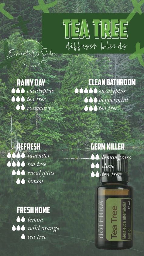 Tea Tree Diffuser Blends, Doterra Tea Tree, Melaleuca Essential Oil, Doterra Diffuser Blends, Essential Oil Combinations, Doterra Essential Oils Recipes, Essential Oil Diffuser Blends Recipes, Essential Oil Remedy, Essential Oils Guide